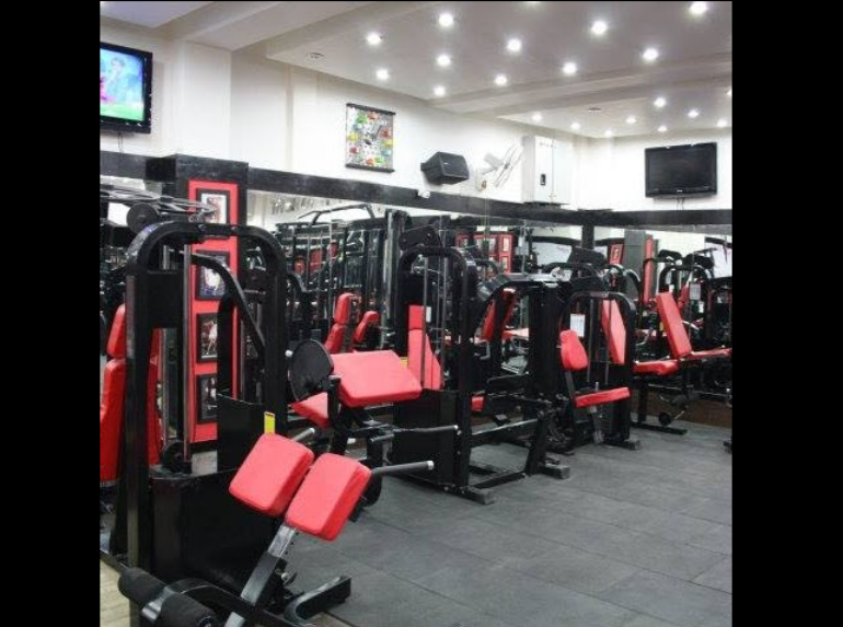 Anson Sports Gym Equipments Ludhiana, (Punjab) BuddingStar